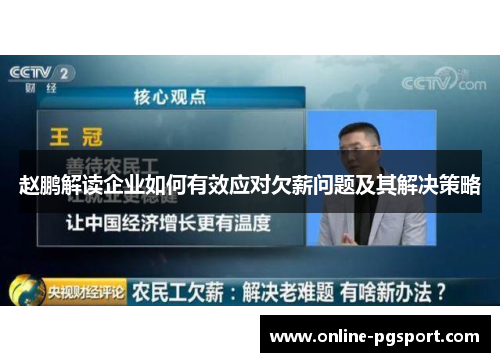 赵鹏解读企业如何有效应对欠薪问题及其解决策略